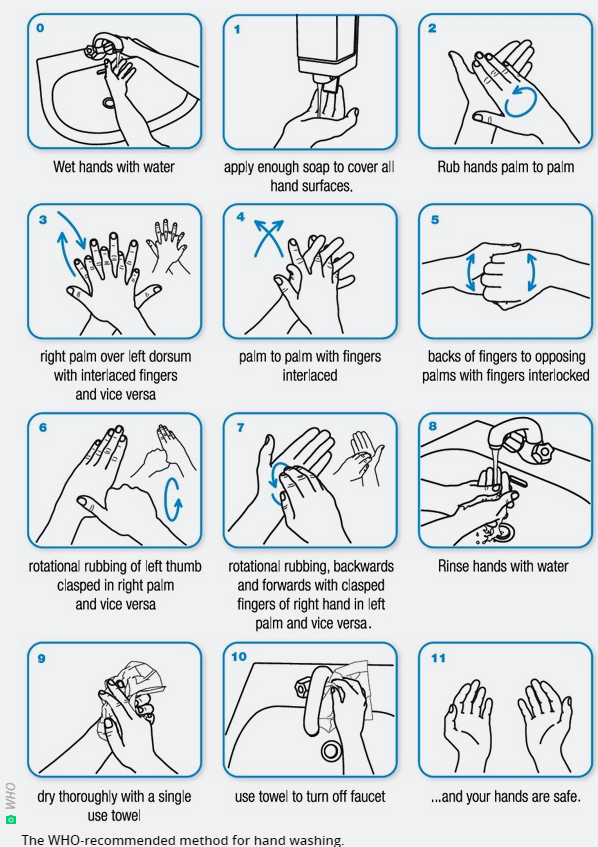 hand washing protocol