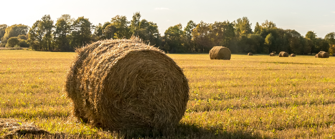 Oil, U.S. Farmers, and More Struggle in a Shifting Market