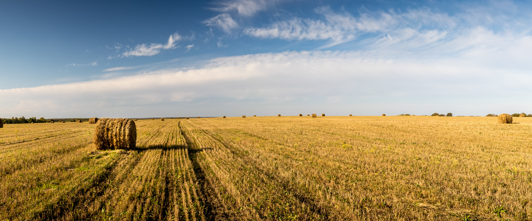 Small Caps Lag, Farm Debt Set to Reach Record High, Investment Indicators Down in Leading Economies